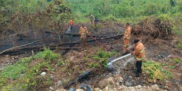 BPBD, PLN & Polres Supiori Berhasil Padamkan Karhutla Skala Kecil Depan Kantor Bupati Supiori