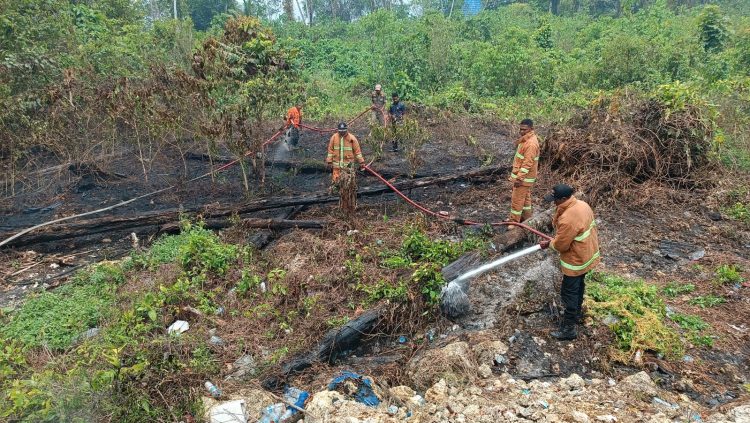 Kebakaran hutan dan lahan berskala kecil di Kabupaten Supiori. (Foto: Istimewa)