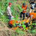 Tim Identifikasi Polresta Jayapura Olah TKP Penemuan Mayat di Kolam Buaya