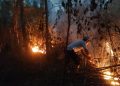 Polsek Sota Bergerak Cepat Padamkan Kebakaran Hutan di Jalur Trans Papua Merauke–Boven Digoel