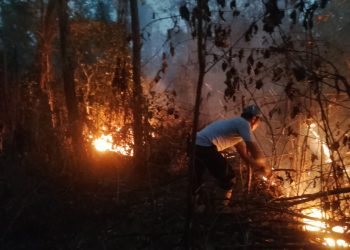 Polsek Sota Bergerak Cepat Padamkan Kebakaran Hutan di Jalur Trans Papua Merauke–Boven Digoel
