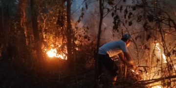 Polsek Sota Bergerak Cepat Padamkan Kebakaran Hutan di Jalur Trans Papua Merauke–Boven Digoel