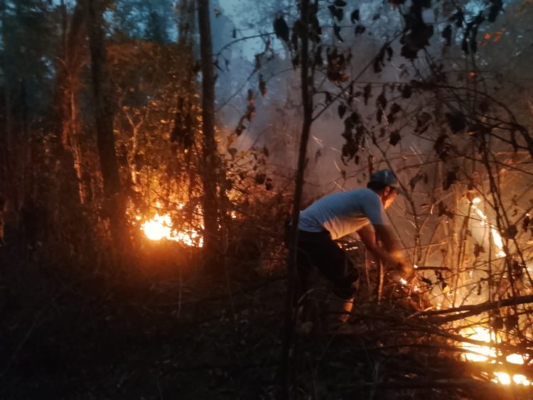 Polsek Sota Bergerak Atasi Kebakaran Hutan di Perbatasan Merauke. (Foto: Istimewa)