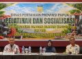 Sertifikasi Halal Buka Jalan Produk Papua Menembus Pasar Lebih Luas