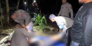 Kecelakaan Maut di Sentani Timur, Satu Orang Meninggal Dunia